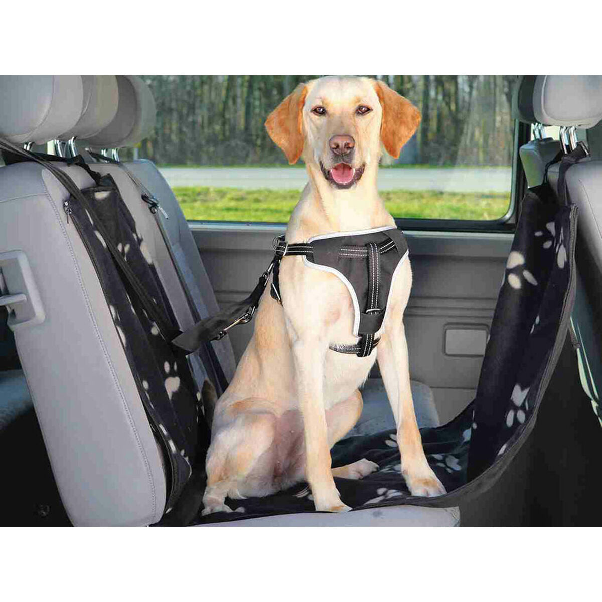 V4HA704FC36342C0E56767D7ECCE95FBAF4R5070552P5