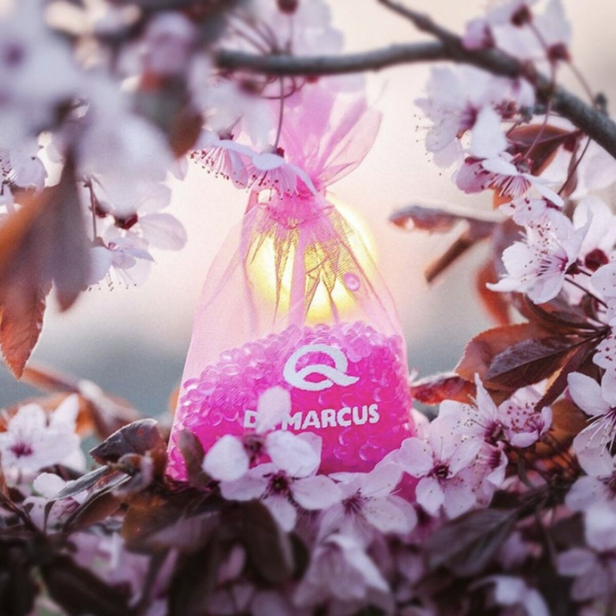 V3H1A8A4E7F12C8624222E5AE52EF14B24CR5715716P2